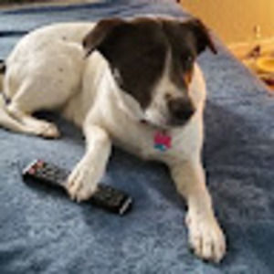 Meet your Posher, Daphne